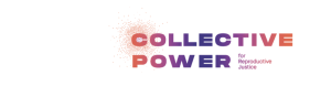 Call for Applications – Development Manager (Collective Power)