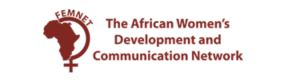 Calls for Applications – UNWomen ACT Project End of Project Evaluation by African Women’s Development and Communication Network (FEMNET) 
