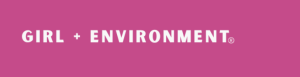 Call for Applications – Communications Manager Girl Plus Environment (GPE)